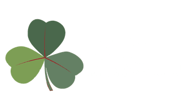 ace logo